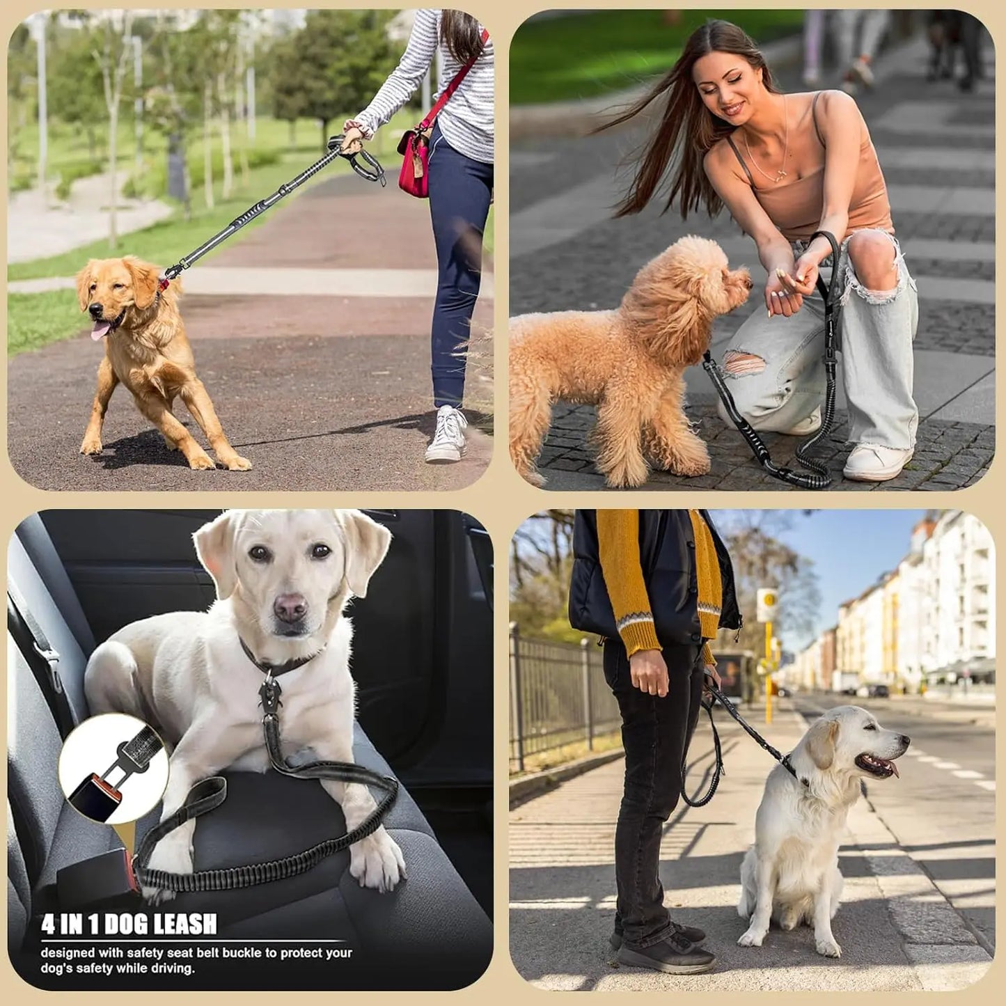 Reflective Shock Absorbing Leash for Large Dogs No Pull Tactical