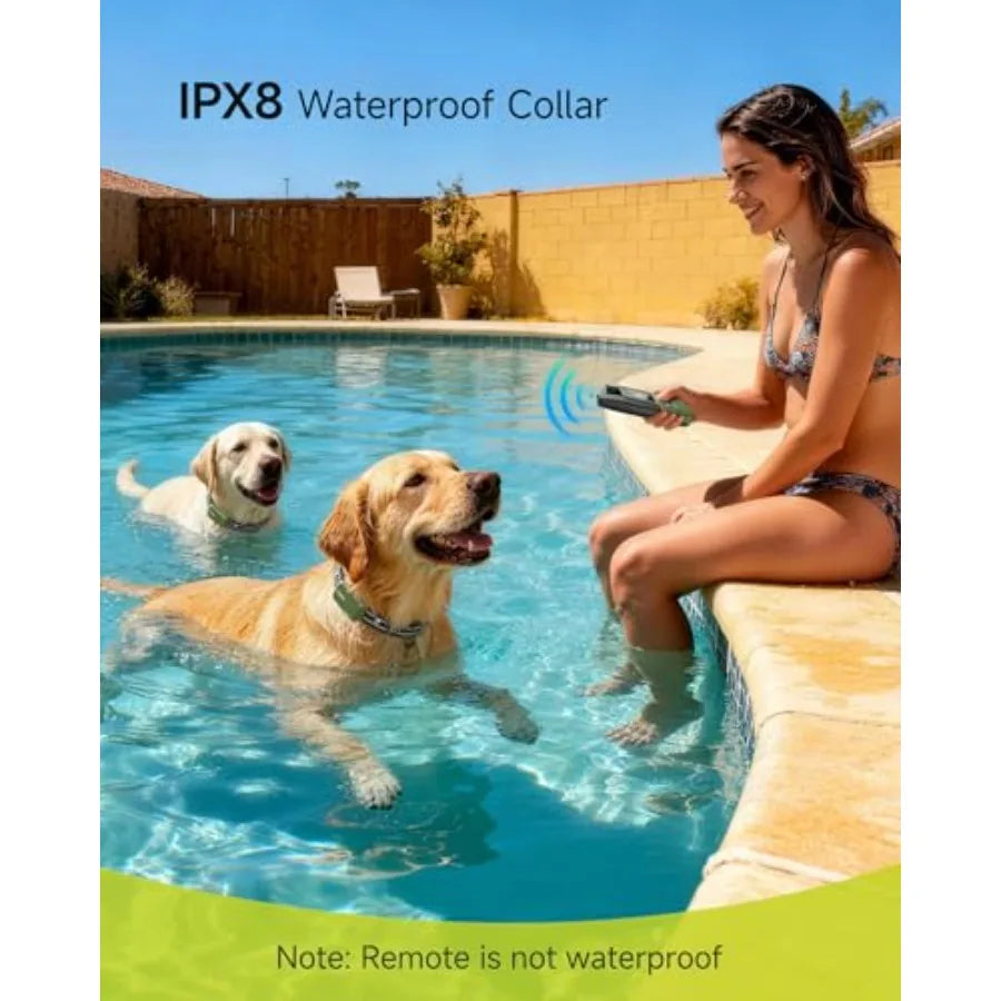 Dual Dog Training Collar For Two Dogs 10-120 Lbs IPX8