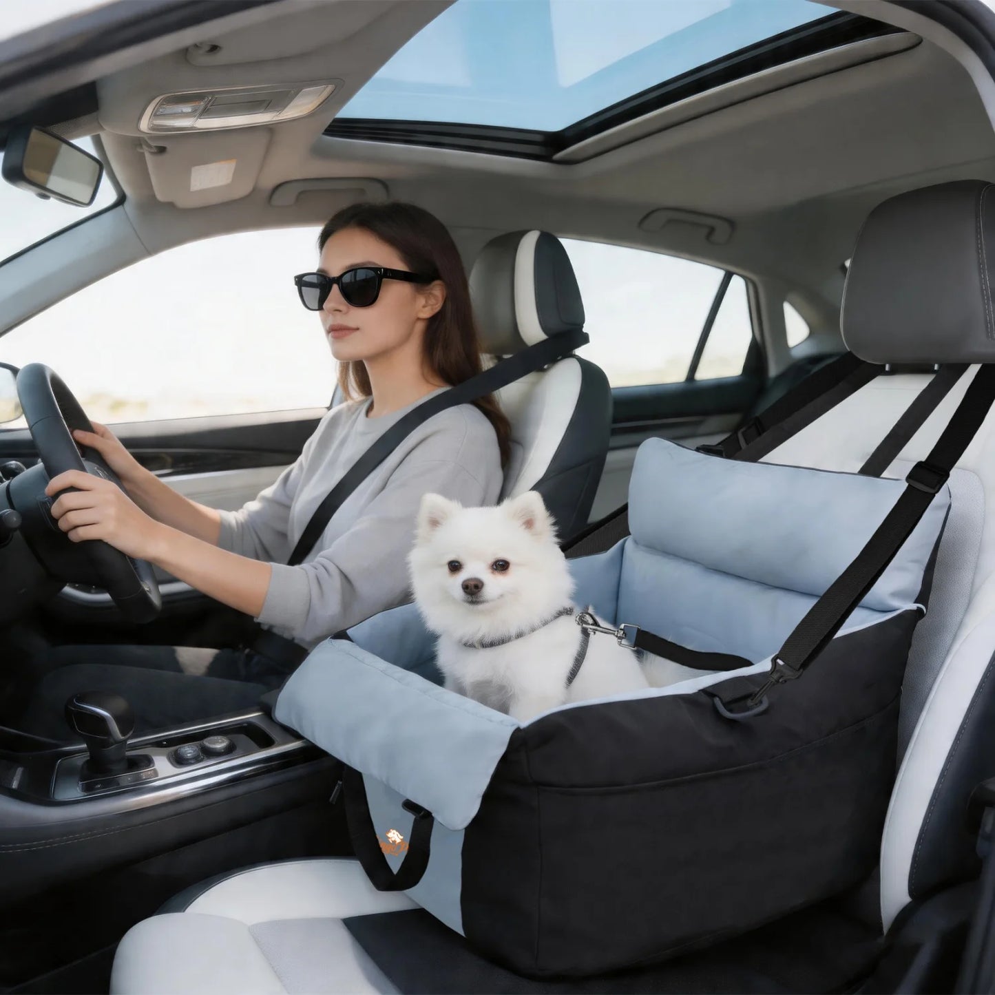BINGOPAW Dog Car Seat Booster for Small Dogs with Belt