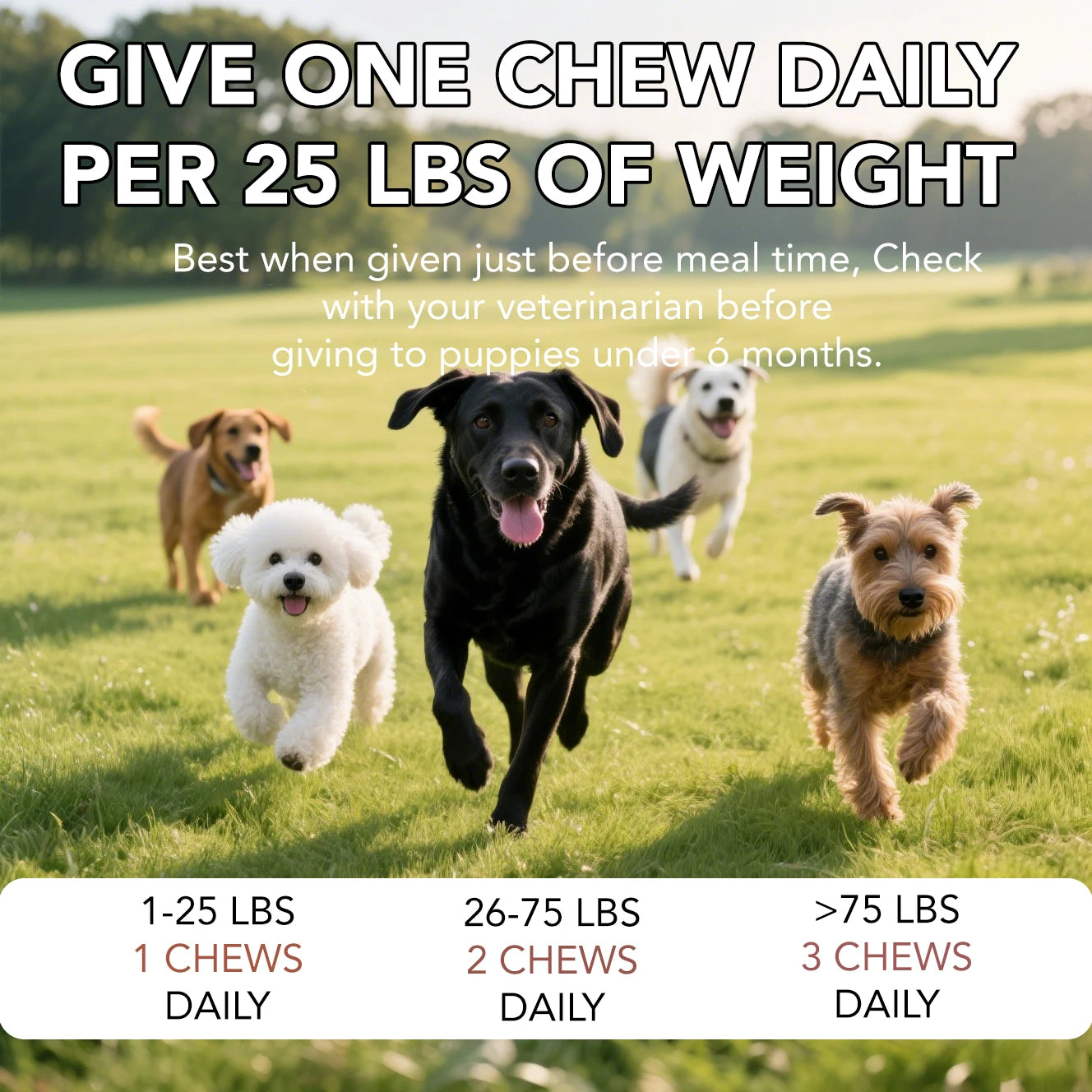 Dog Probiotic Digestive Health Soft Chews With Pumpkin Fish Oil
