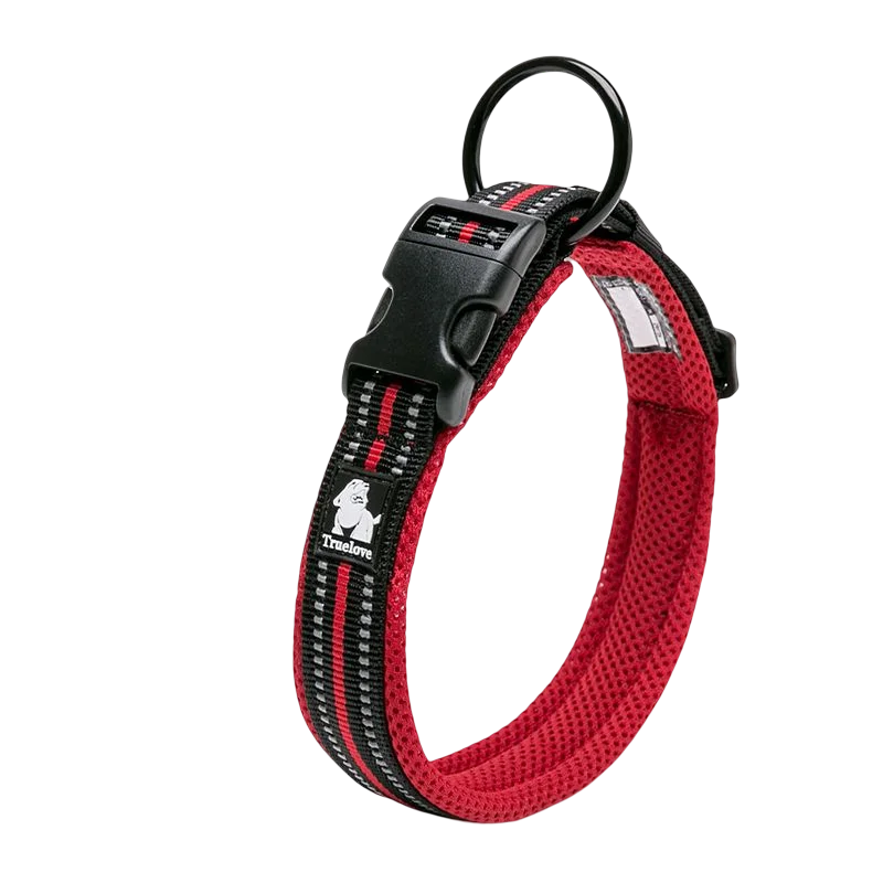 Winhyepet Padded Nylon Dog Walking Collar With Buckle