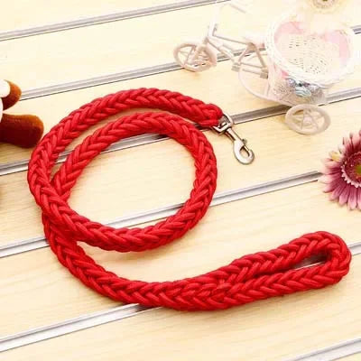 Heavy Duty Nylon Braided Dog Leash For Walking Outdoors