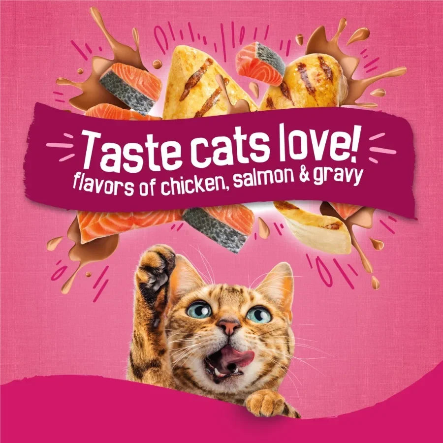 Gravy Swirlers Dry Cat Food Chicken Salmon And Gravy