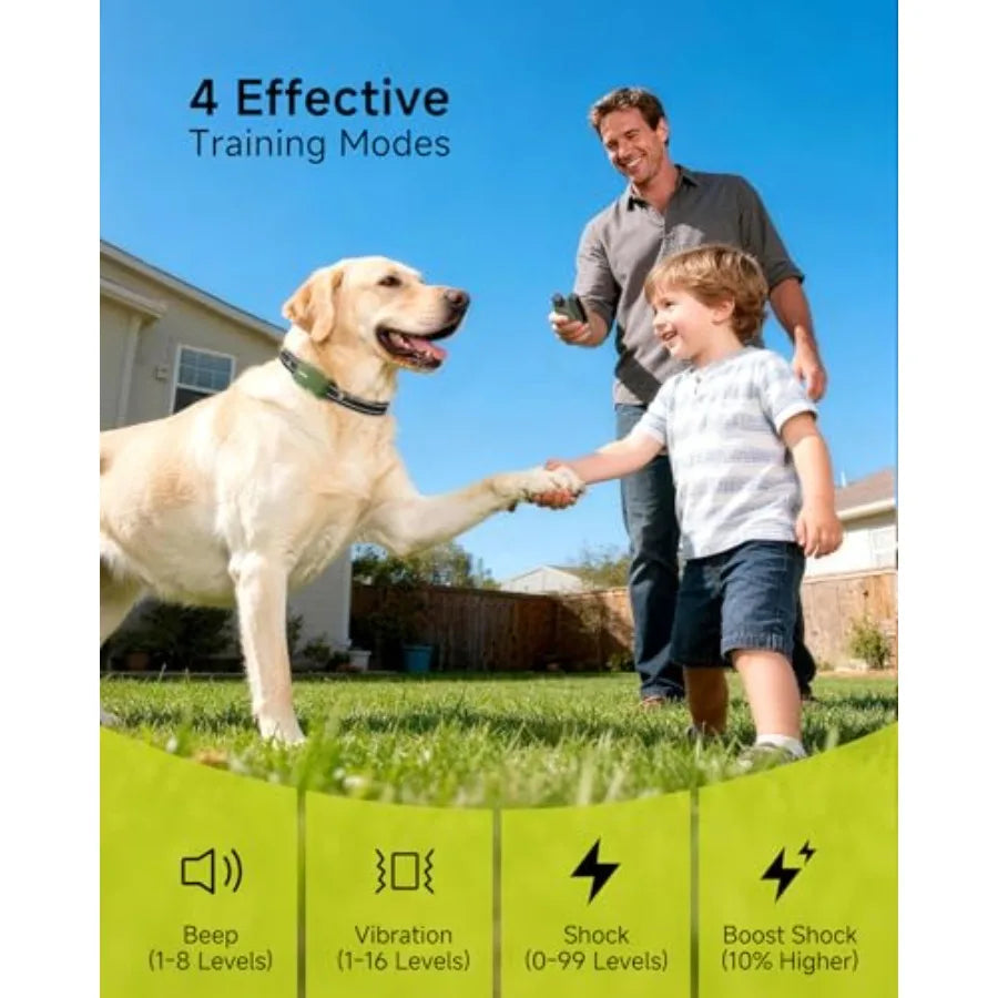 Dual Dog Training Collar For Two Dogs 10-120 Lbs IPX8