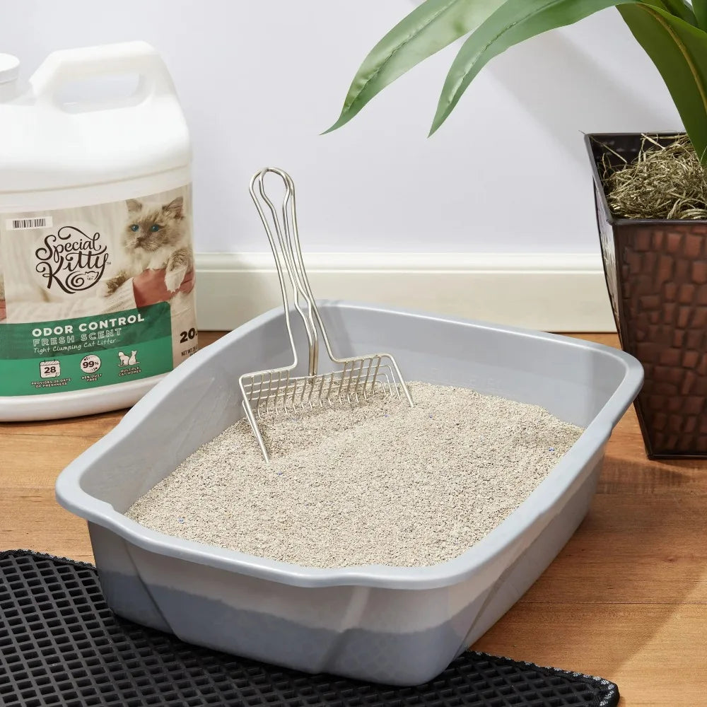 Clumping Clay Cat Litter Fresh Scent 4 Pack Odor Control